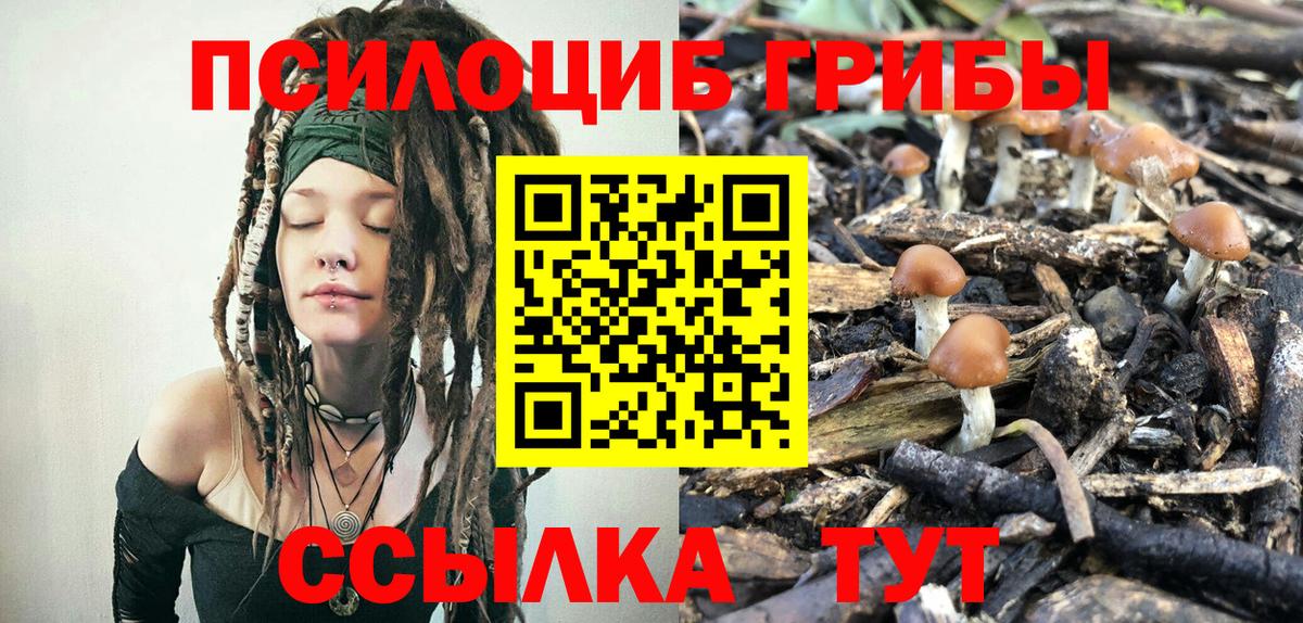 Псилоцибиновые грибы MAGIC MUSHROOMS  Галлюциногенные грибы GOLDEN TEACHER  Выкса  Вход с VPN 